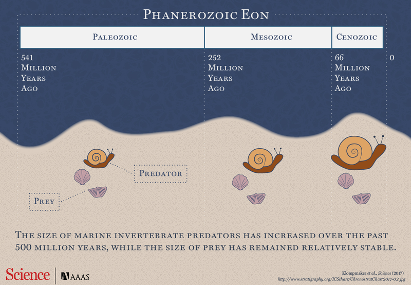Image: Karla Schaffer / AAAS